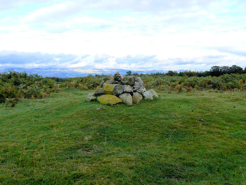 Heughscar Hill's summit Heughscar Hill's summit